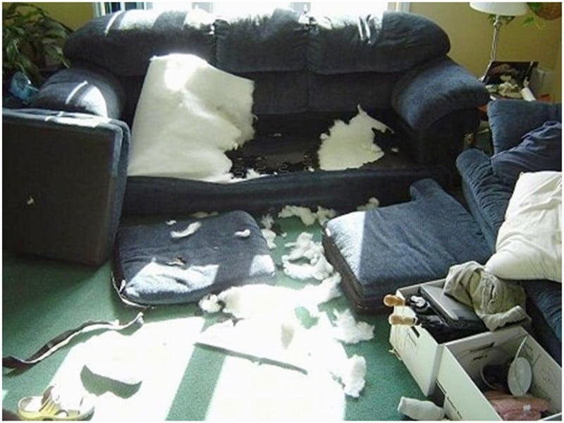 destroyed sofa