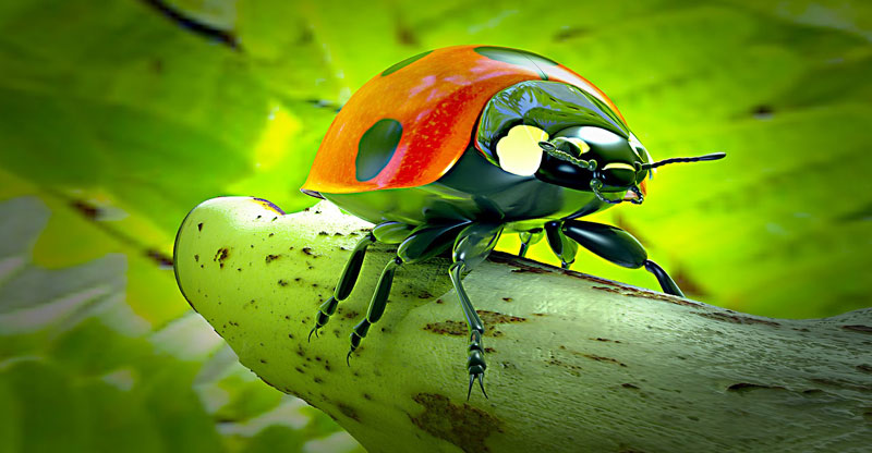 cgi-ladybug