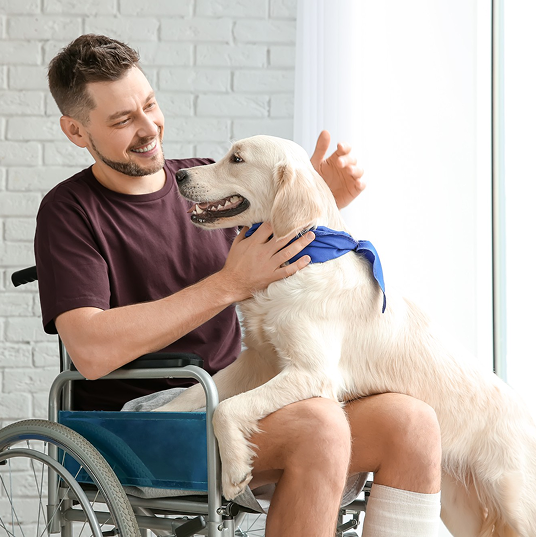 Animal accompany Image