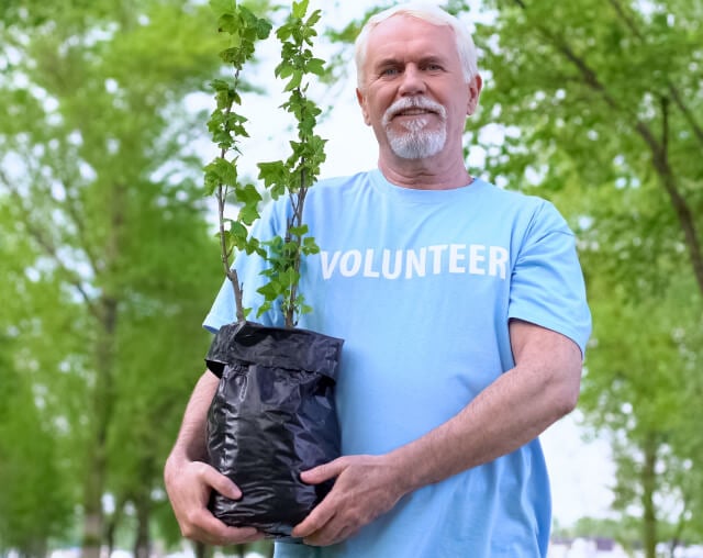 older man planting a tree