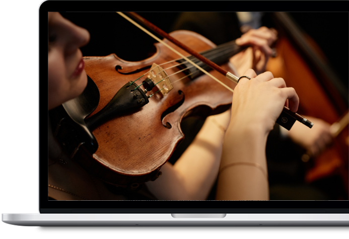 Musicans Friend Image