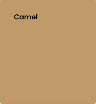 camel_box