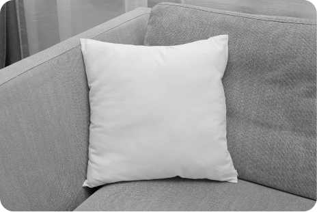 Check Cushions Image