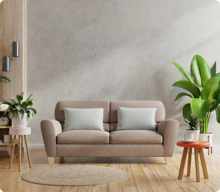 plants and sofa