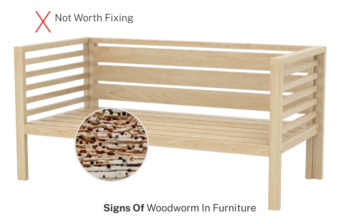 woodworm Right Images