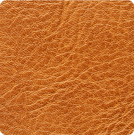 Aniline Leather Image