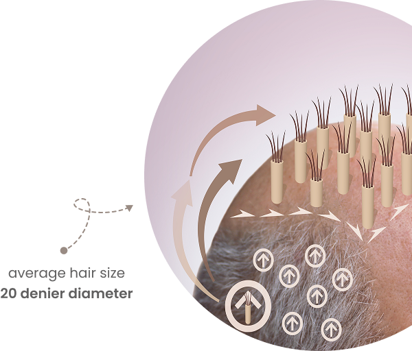 Fiber Human Hair Right Image
