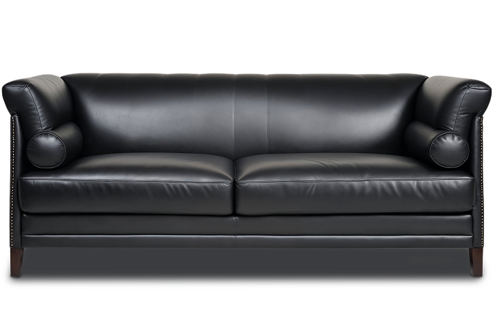 Leather Sofa Outlook Image