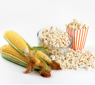 Conclusion Popcorn Left Image