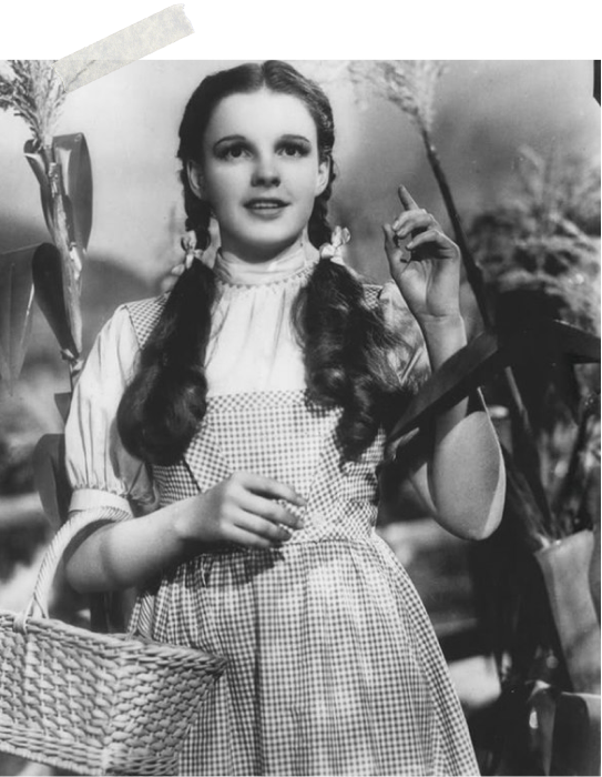 Dorothy gingham dress
