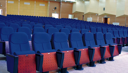 Auditorium & Public Venue Seats